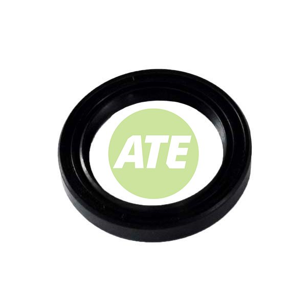 Oil Seal (25.52.7Sc)