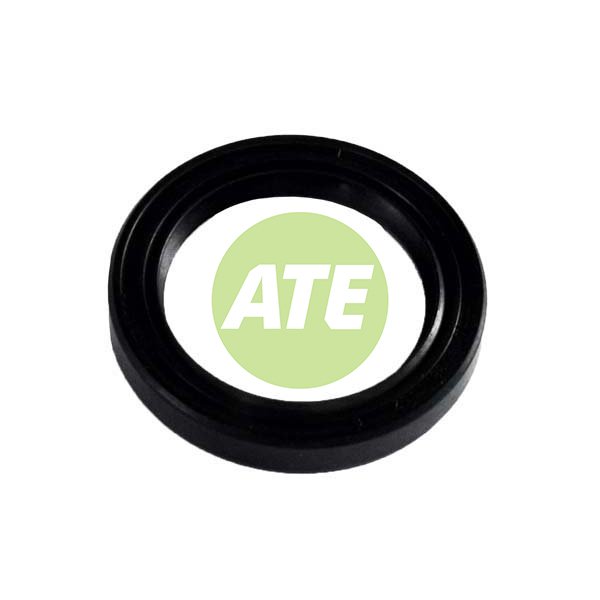Oil Seal (287.187.50Sc)