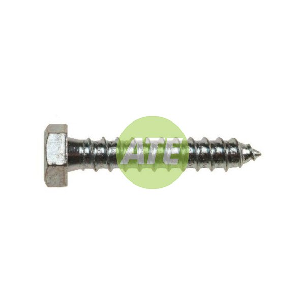 M8 X 60 Coach Bolt
