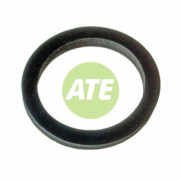 O-Ring To Suit ALKO Shaft