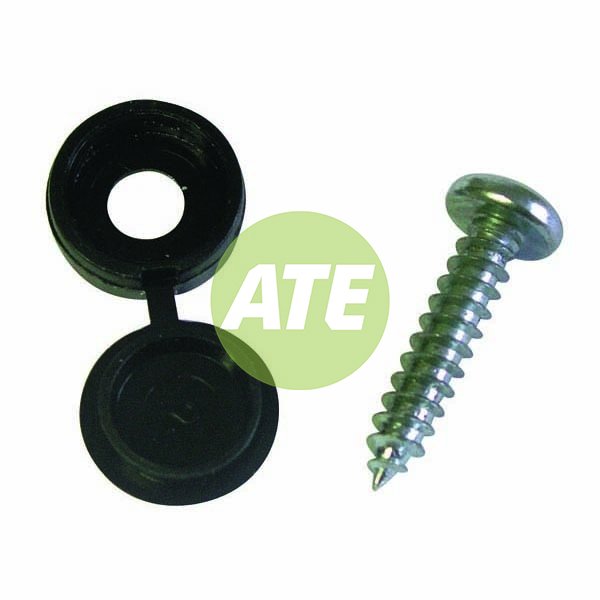 Self Tapping Screw With Black Cap